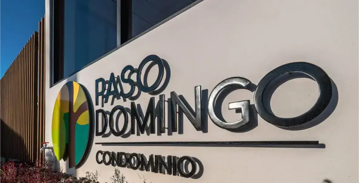 paso-domingo-02